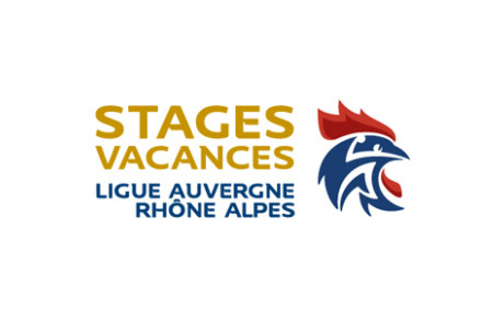 Stages handball d'été - Ligue AURA